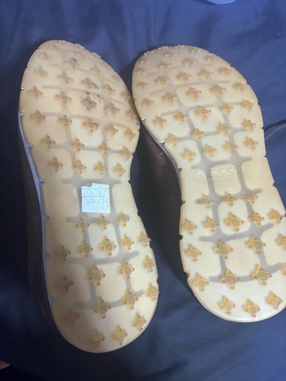 Sketchers Golf shoes